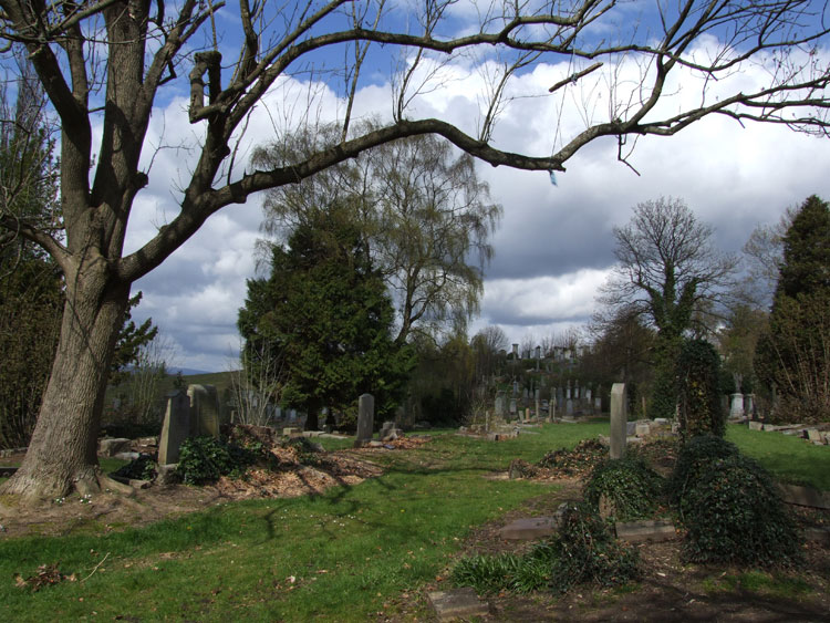 A general view of Cathcart Cemetery