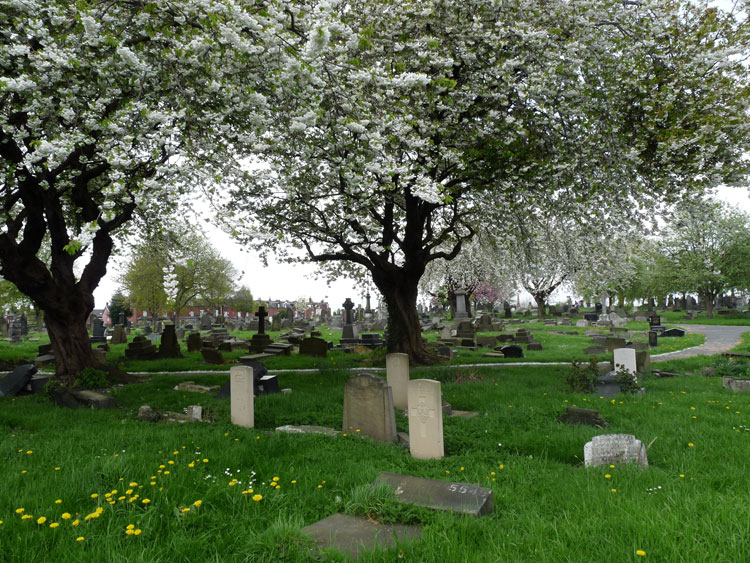 Leeds (Holbeck) Cemetery, with the headstone for Private Thomas in the centre foreground