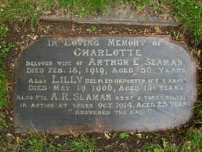 Seaman Family Headstone