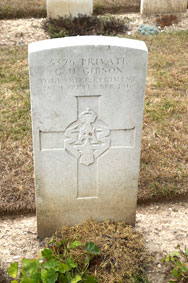 Private George Herbert Gibson. 5376.