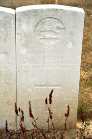 Private Leonard Llantaff Miller. 235312. 