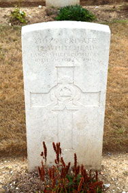 Private Harry Whitehead. 21025. 