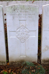 Private Richard Timbs. 3406
