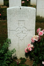 Private Alfred John Hall. 42353.