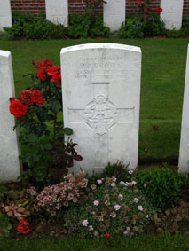 Private David Alexander Brown, 30004