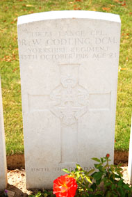 Lance Corporal Robert William Codling, DCM , 13873. 