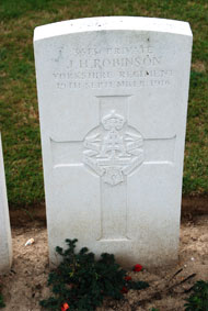 Private John Henry Robinson. 3513. 