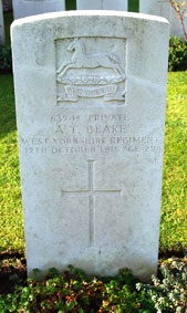 Private Albert Toulon Blake. 63248