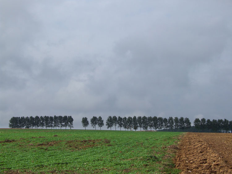 A View Showing the Isolation and Inaccessibility of Grandcourt Road Cemetery