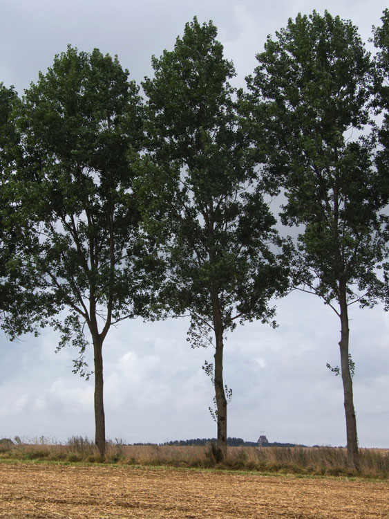 The Thiepval Memorial Just Visible from Grandcourt Road Cemetery