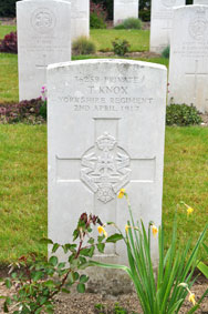 Private Thomas Knox, 36259. 