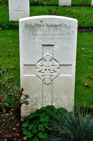 Private Alfred Herbert Olley. 5229.