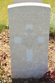 Private Albert Moyse Walker. 13790.