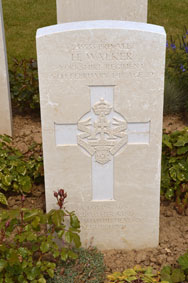 Private Hebden Walker. 235533. 