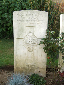 Private William Plows. 26264. 