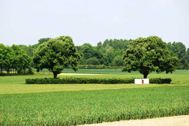Rookery British Cemetery, Heninel (France)