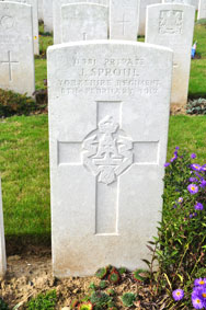 Private Joseph Sproul. 11381.