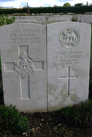 Private John Richard Walker. 243323.