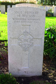 Private Herbert Wilson. 5502. 