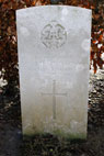 Private John Henry Simpson, 16229