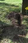 York Cemetery (Memorial)